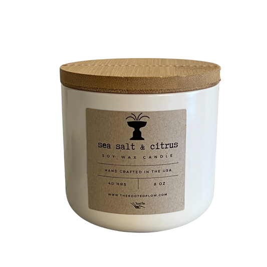 Cass Gilbert Fountain Ceramic Candle