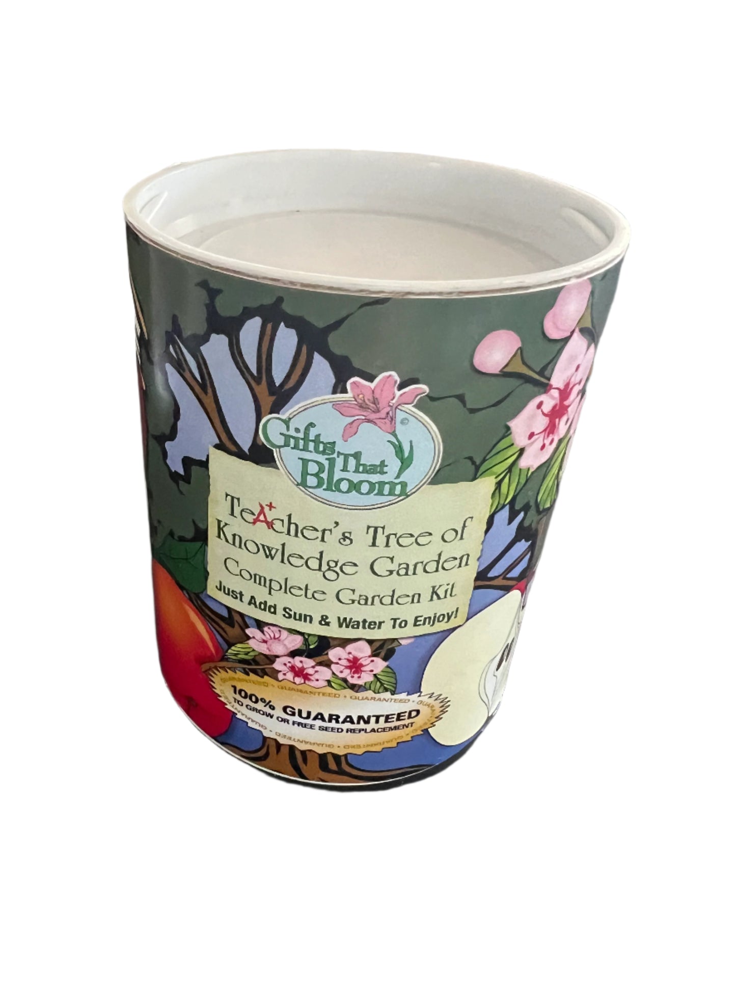 Garden Seed Kit - teacher gift