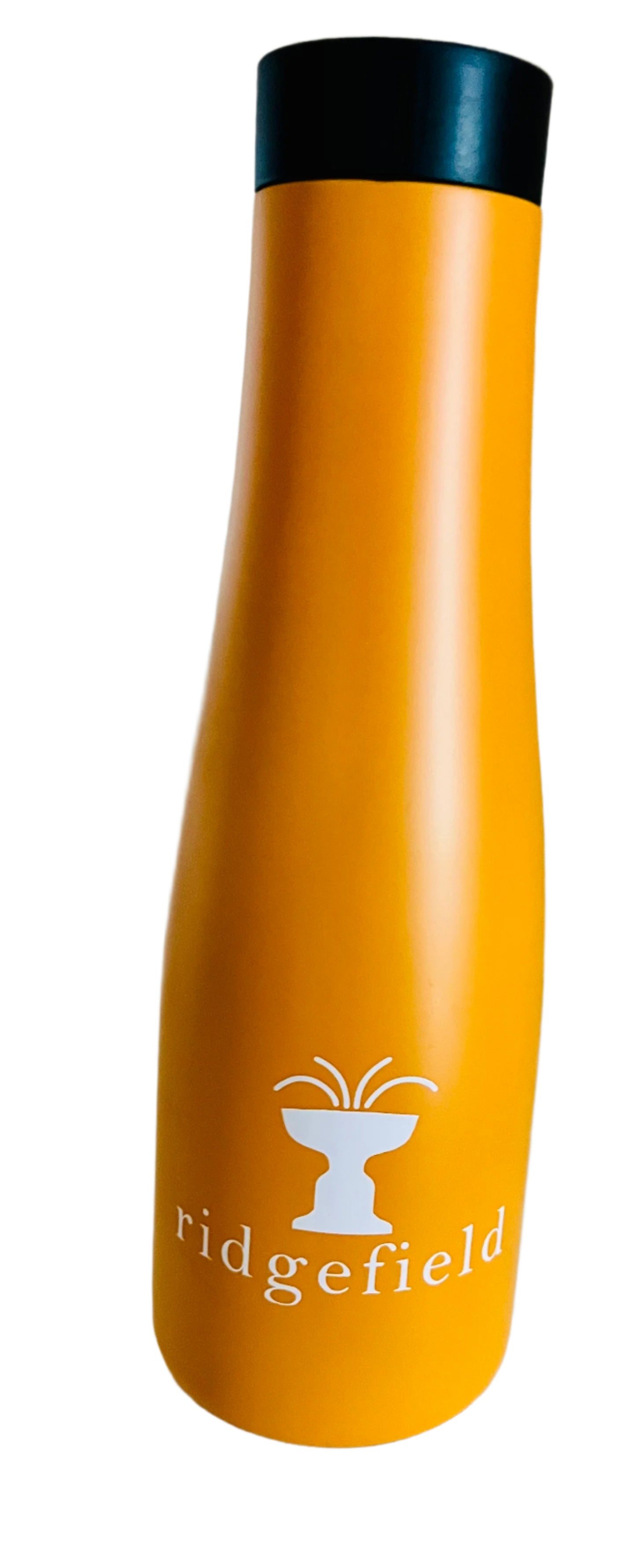 Ridgefield Cass Gilbert Fountain Water Bottle