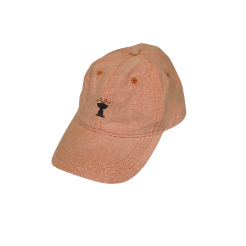 Cass Gilbert Fountain Washed Canvas Baseball Cap