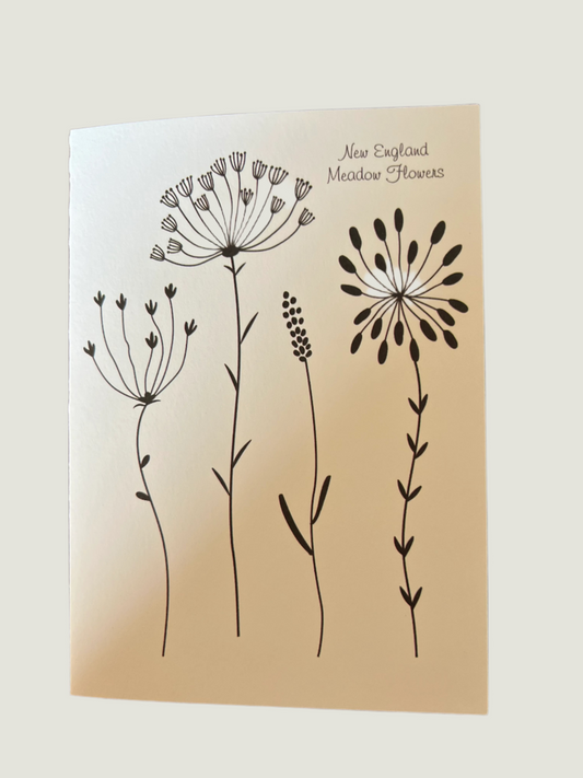 New England Meadow Flowers Note Card