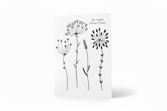 New England Meadow Flowers Note Card