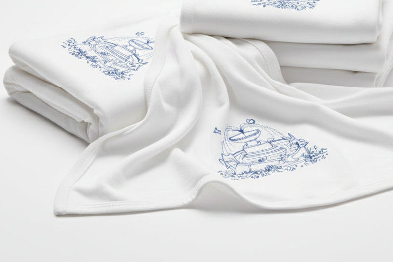 Cass Gilbert Fountain Baby Blanket