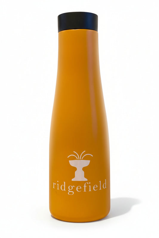 20 oz. Main Street Insulated Bottle
