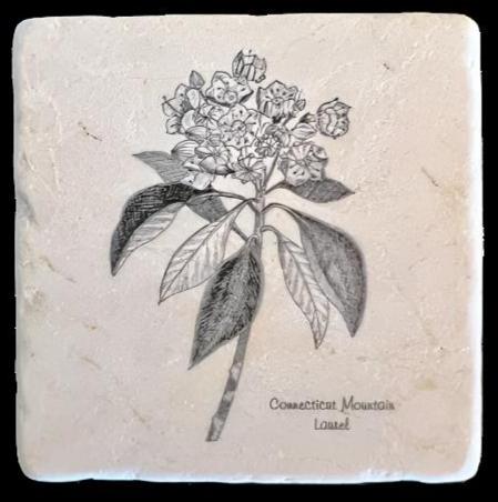 tumbled marble coaster writtin on it: Connecticut Mountain Laurel