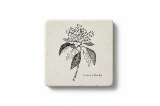 tumbled marble coaster writtin on it: Connecticut Mountain Laurel