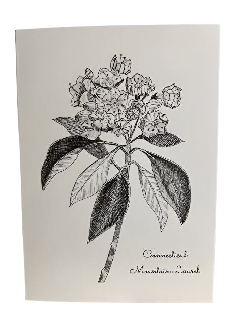 Connecticut Mountain Laurel Note Card - Exclusive to The Rooted Plow