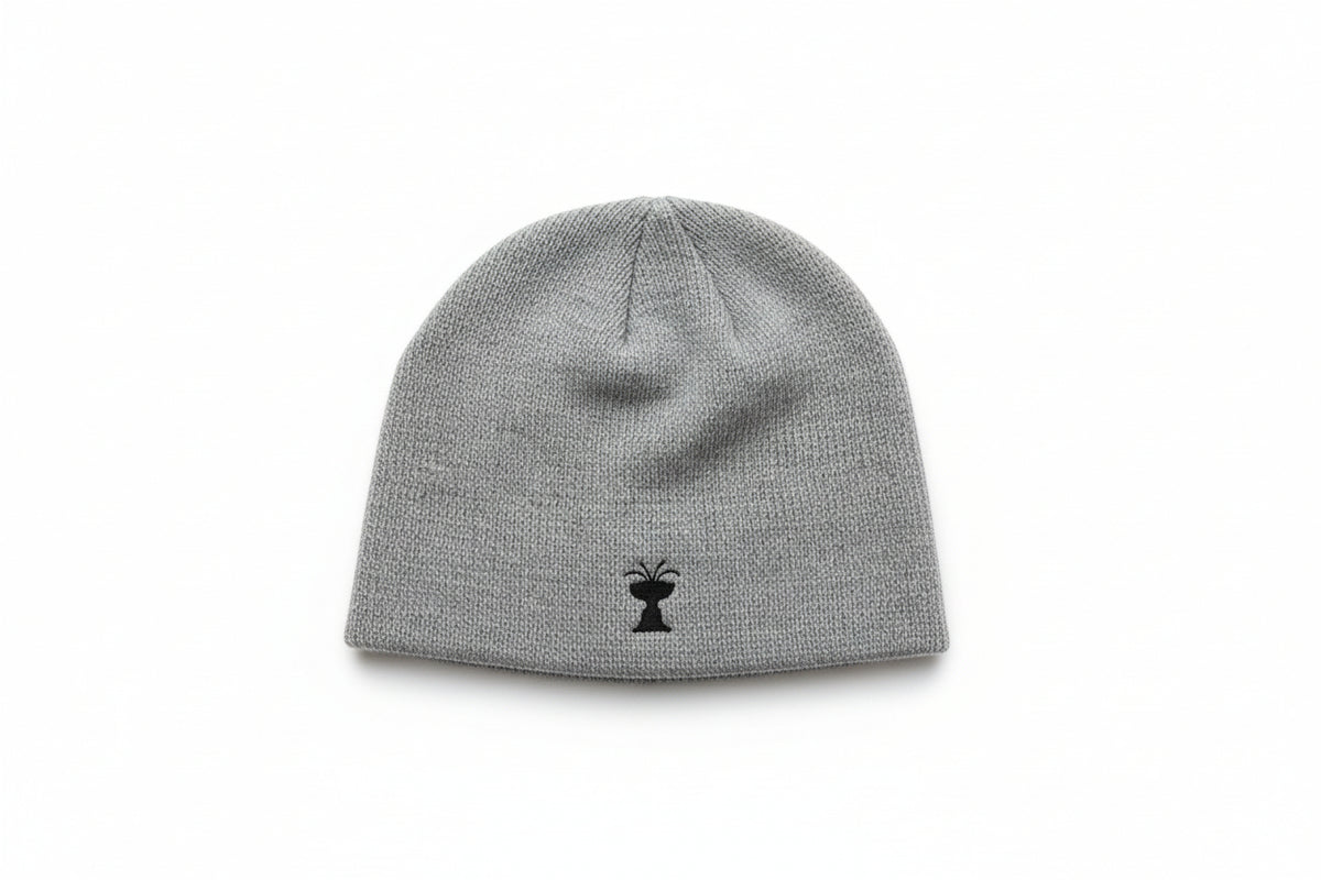 Cass Gilbert Fountain Knit Beanie - Ridgefield Connecticut Gift