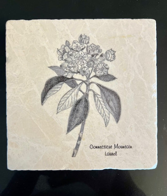 Mountain Laurel Marble Trivet - Exclusive to The Rooted Plow